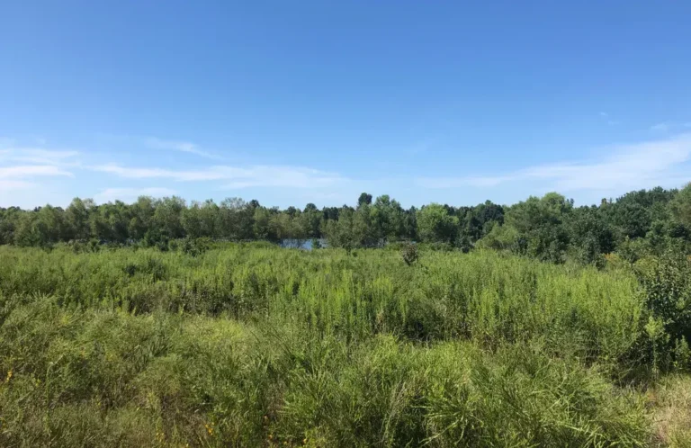 Dry Creek