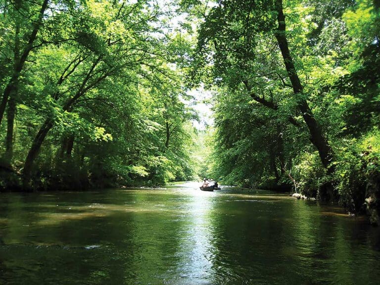 big-canoe-creek-nature-preserve-opens